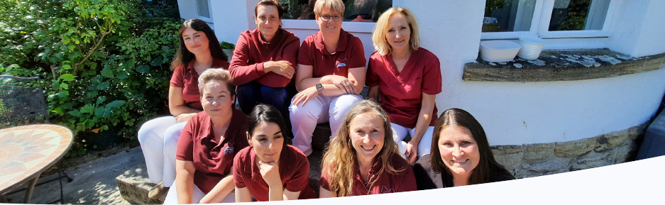 Banner Team Schaabner-Haase